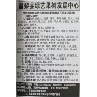 专供樱桃苗 河北果树网 昌黎全系列樱桃苗 樱桃苗批发