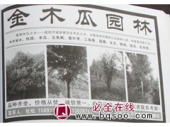 出售木瓜树 木瓜树基地 木瓜价格表 南阳木瓜树 金木瓜园林图1