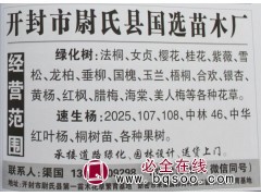 速生杨小苗 速生杨价格 河南苗木网 开封速生杨价格 速生杨图1