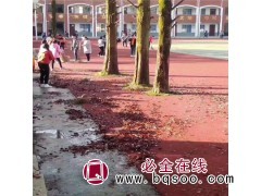 透水地坪 艺术地坪 印花地坪  彩色水泥压花地坪厂家图3