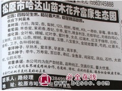 吉林葡萄苗 香妃葡萄苗 维多利亚葡萄苗 供葡萄苗 富康生态园图1