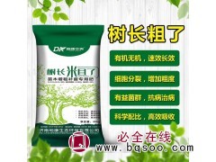 苗木增粗补菌专用肥，提高吸收能力增粗，非激素类增粗 地康图2