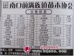 垂榆基地 抚顺苗木网 垂榆3-5公分1万棵 东北苗木网 垂榆图1