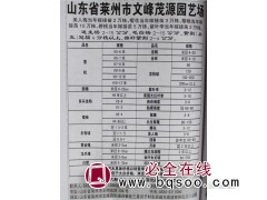 美人梅当年嫁接苗2万棵出售 山东苗木网 茂源园艺 美人梅价格图1