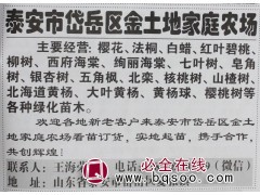 红叶碧桃树 碧桃小苗 碧桃造型树 山东苗木网 金土地苗木图1