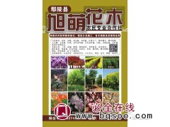 河南苗木网 旭萌花木基地 河南紫叶稠李价格表 紫叶稠李精品树图1