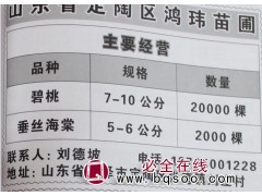 碧桃7-10公分20000棵@碧桃树价格@山东苗木@鸿玮苗圃图1