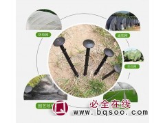 山东u型地钉供应商/防草布固定钉厂家/可零售 鲁农防草地布图1