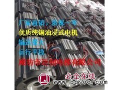 厂家直销单相220V 2.2KW侵油式电机图1