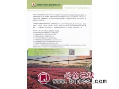 中兴红叶杨_【河南中兴苗木基地】全红杨,金红杨,靓红杨图1