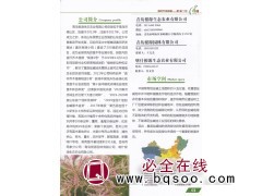 专营直杆乔木柽柳(根源1号) 青岛根源生态农业有限公司图1