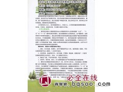 南林3804 速生杨价格 灌南县森茂苗木种植有限公司 速生杨图1