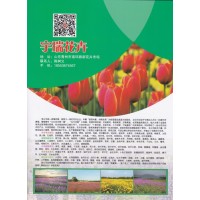 2021青州草花专业的苗木花卉基地 宇瑞花卉基地 润景花卉