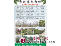 常州寨庄花木种植有限公司 5-12公分栾树 夏溪花木市场图1