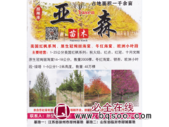 邳州市亚森花卉苗木种植专业合作社 美国红枫 绚丽海棠图1