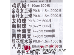 精品鸡爪槭6-10cm 鸡爪槭价目表 鸡爪槭繁育基地图1