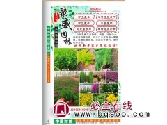 山东春季草花-欧石竹 青州草花价格表 聚盛园林 欧石竹小苗图1