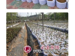 60*45美植袋 白美植袋 大森育苗容器厂供应各种型号美植袋图1