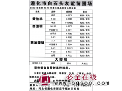 黄油桃、白油桃、黄油蟠桃供应 河北桃苗 遵化市友谊苗圃场图1