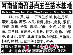 河南省南召县白玉兰苗木基地供应红、白、黄、紫、二乔玉兰图1