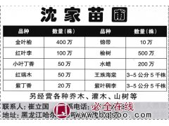 哈尔滨沈家苗圃经营金叶榆400万、锦带10万 东北苗木图1