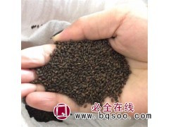 花之缘 高杆一串红种子 绿化工程用 花海打造 婚纱摄影图1