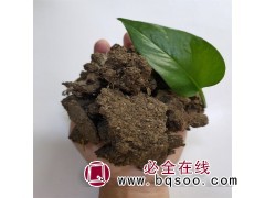 双孢菇菌菇种植专用块状发酵腐熟粉碎牛粪晾晒干 牛粪块图1