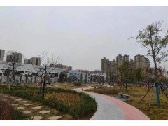 南阳市卧龙区：打造精品游园  助力创建国家生态园林城市
