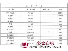 花叶三角枫价格 3-20公分花叶三角枫销售 杭州蓝天园林图1