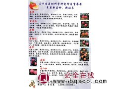 苹果苗 东北苹果苗 辽宁省果树科学研究所 苹果苗大量供应图1