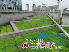 NS50种植盘-屋顶绿化-屋顶防水-纳森生态建设有限公司图1