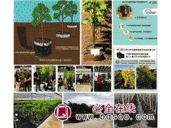 无纺布加仑袋、植树袋-佛山美植袋-宏盛根袋园艺图1