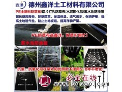 PE防草布-编织布-抗老化编织袋-德州防草布-鑫洋土工材料图1