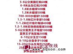 1.2米榆叶梅堆150堆 20元 东北苗木 园林绿化苗木价格图1