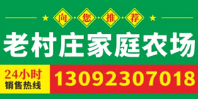 邳州市老村庄家庭农场