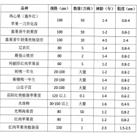 鸡心果苗-苹果一刀乔化苗-塞外红鸡心果苗大量-东北苗木