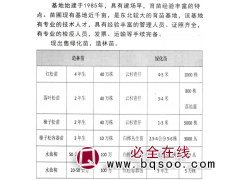 樟子松-樟子松小苗大量供应 东北造林苗-绿化苗木基地图1