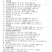 王族海棠-富贵海棠-海棠树销售-东北苗木-绿化苗木