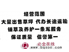 大量出售草坪 代办长途运输 铺草及养护 东北草坪基地图1