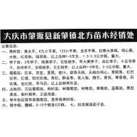 葡萄苗:巨丰，京亚，夏黑，密汁 大庆葡萄苗销售 果树苗