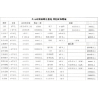 云杉苗-3-8年生云杉-白山市园林绿化基地-东北苗木