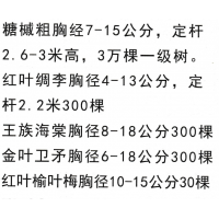 糖槭粗胸经7-15公分，定杆2.6-3米高，3万棵