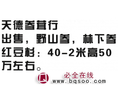 出售，野山参，林下参，红豆杉:40-2米高50万左右图1