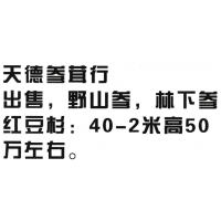 出售，野山参，林下参，红豆杉:40-2米高50万左右