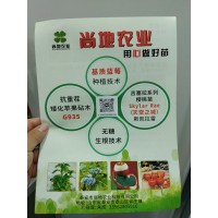 抗重茬矮化苹果砧木G935-尚地农业科技有限公司